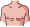 chest
